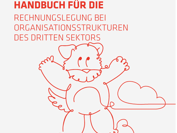 DZE: Handbuch für die Rechnungslegung bei Organisationsstrukturen des 3 ...
